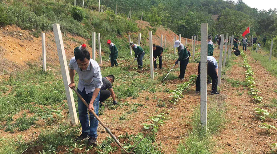 5ed0626825d05.jpg 6.jpg