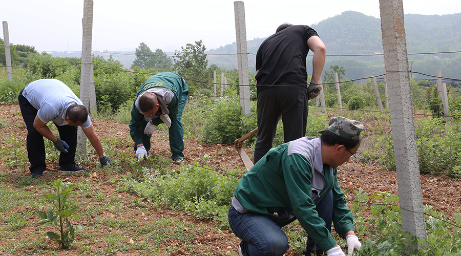 5ed0627885ce4.jpg 10.jpg