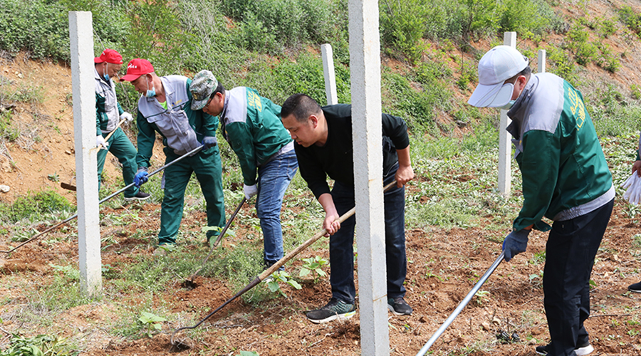 5ed0628439b0e.jpg 4.jpg