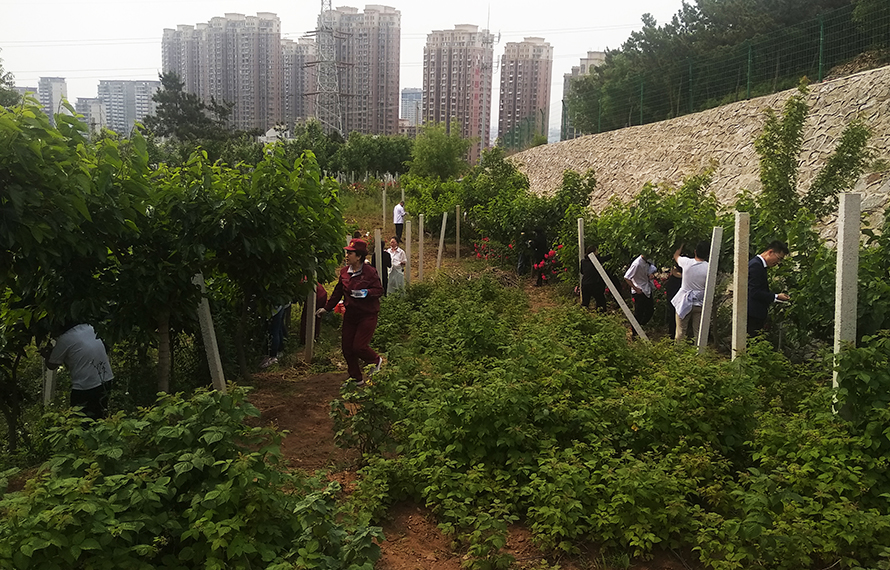 5ef0027e93dce.jpg 111.jpg