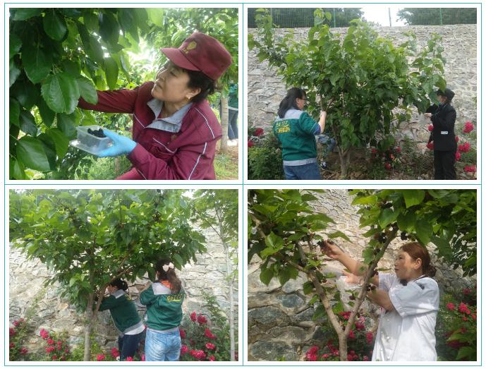 5ef002adb8016.jpg 444.jpg