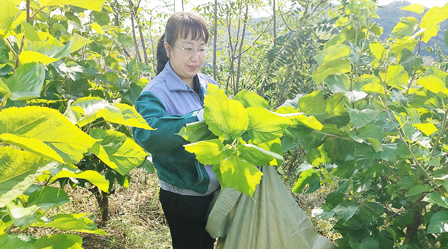 未标题-8.jpg